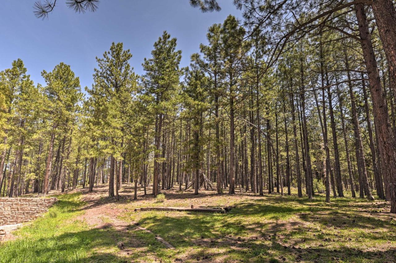 Angel Fire All-Season Escape Walk To Ski And Trails Exterior photo